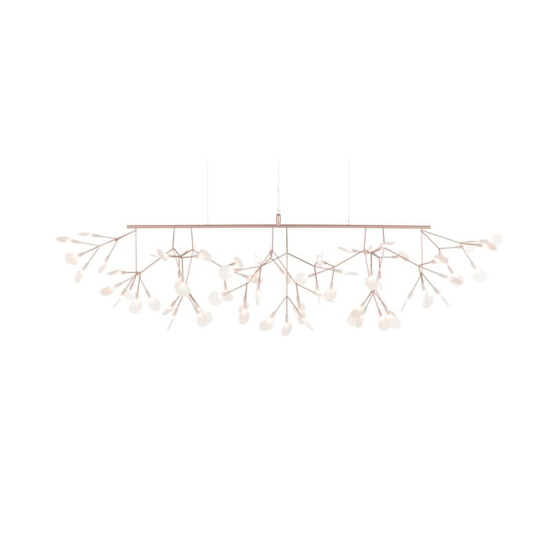 Heracleum III Linear