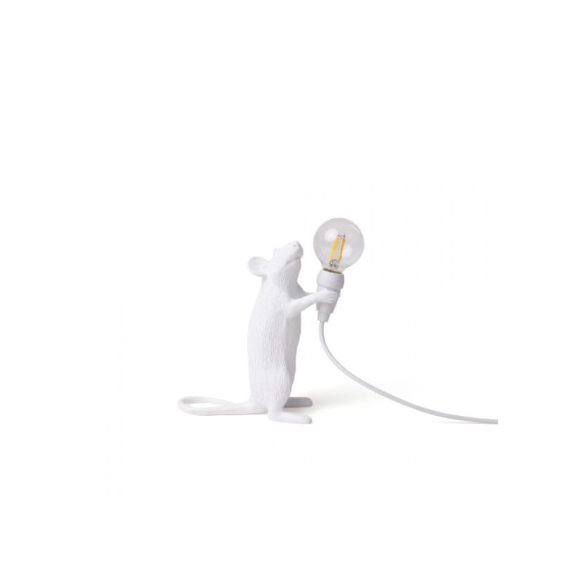 Mouse Lamp Step